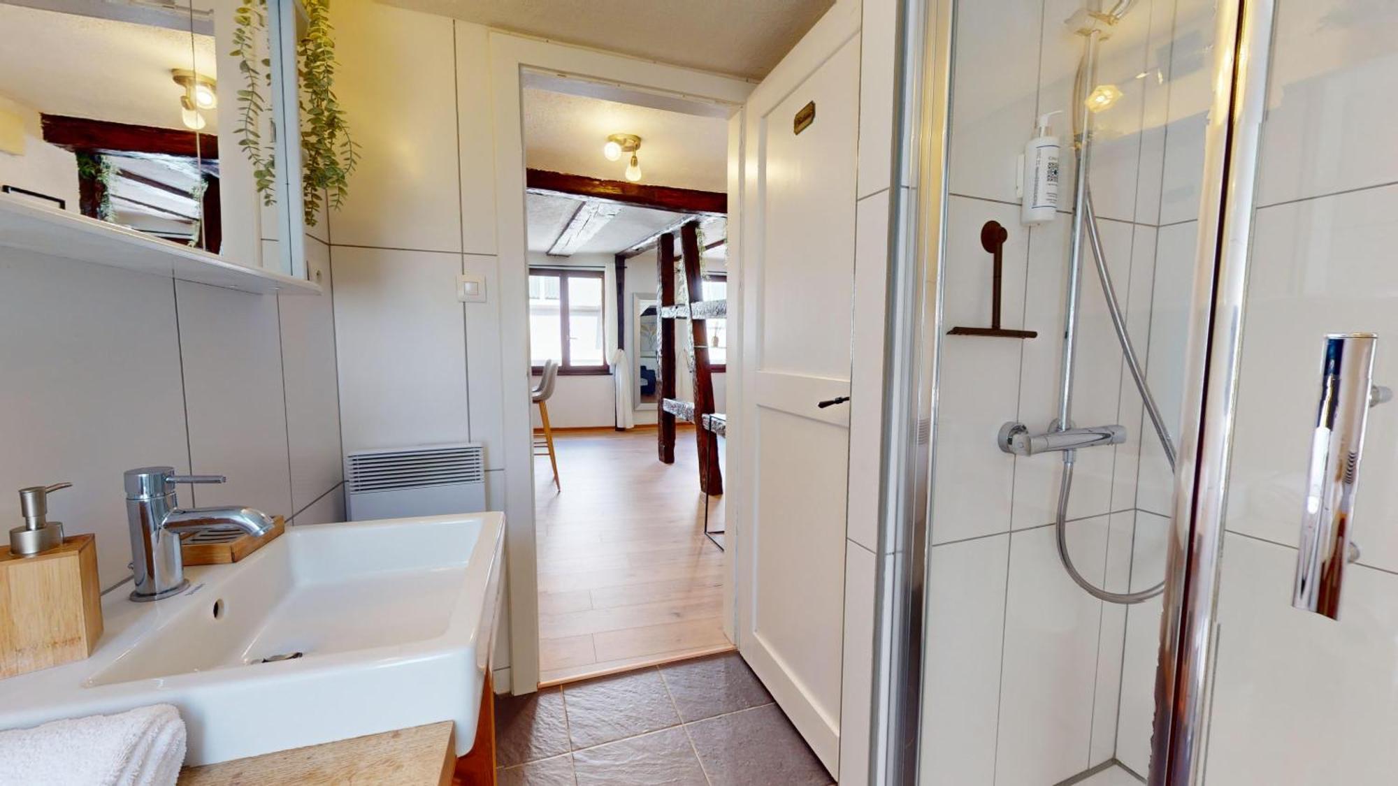 Au Petit Vauban 2 Chambres & Parking Colmar Eksteriør bilde