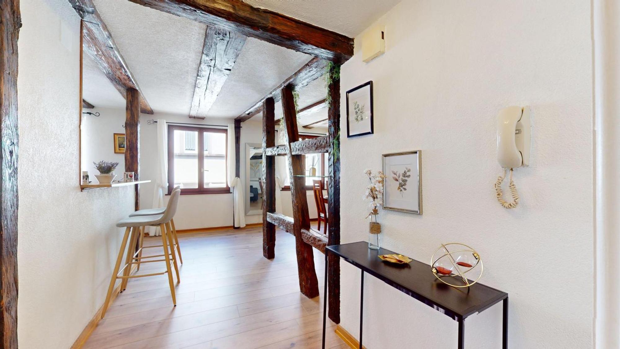 Au Petit Vauban 2 Chambres & Parking Colmar Eksteriør bilde